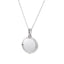PSS1272 STAINLESS STEEL ROUND PENDANT AAB CO..