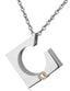 PSS474 STAINLESS STEEL PENDANT PVD