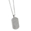 PSS946 STAINLESS STEEL PENDANT
