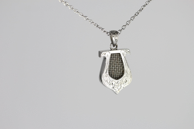 GPSS846 STAINLESS STEEL PENDANT AAB CO..