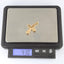 GPSS847 STAINLESS STEEL PENDANT AAB CO..