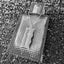 PSS907 STAINLESS STEEL PENDANT AAB CO..