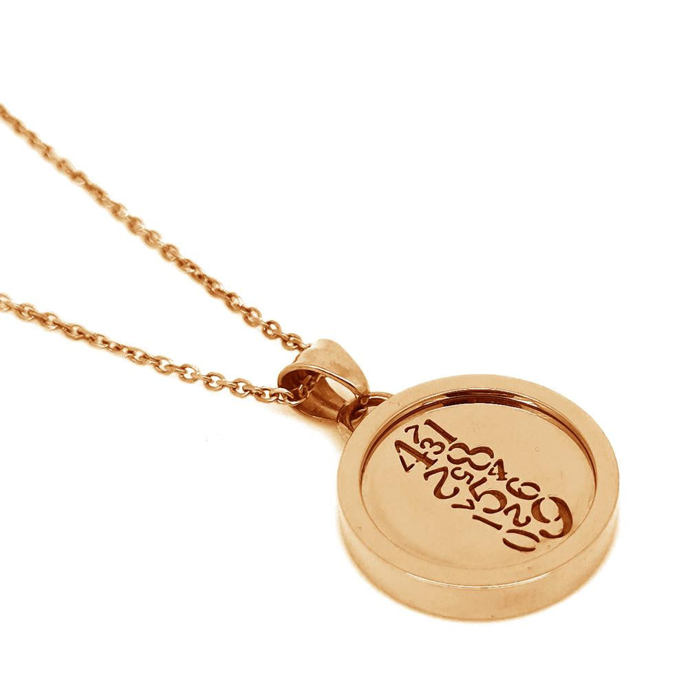 PSS939 STAINLESS STEEL PENDANT AAB CO..