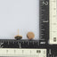 ESS646 STAINLESS STEEL EARRING AAB CO..