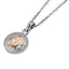 GPSS988 STAINLESS STEEL PENDANT AAB CO..