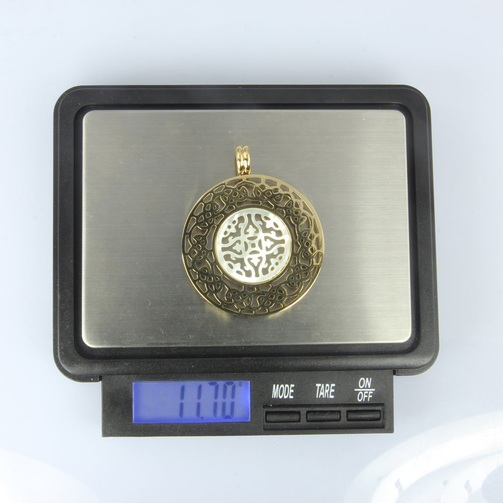 PSS1024 STAINLESS STEEL PENDANT AAB CO..