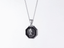 PSS1125 STAINLESS STEEL PENDANT WITH LION AAB CO..