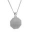 PSS1125 STAINLESS STEEL PENDANT WITH LION AAB CO..