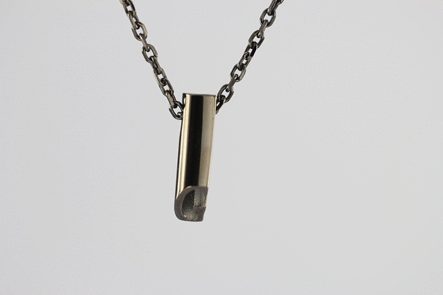 PSS840 STAINLESS STEEL PENDANT(G) AAB CO..