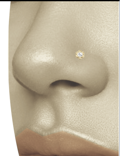 BN05 NOSE STUD WITH JEWELLED AAB CO..