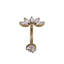 AAB Co G23 titanium internal thread belly bar with CZ leaf design in 14K gold finish
