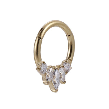 AAB Co G23 titanium hinged BCR with CZ crystal design in 14K gold finish
