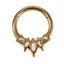 AAB Co G23 titanium hinged BCR with CZ crystal design in 14K gold finish

