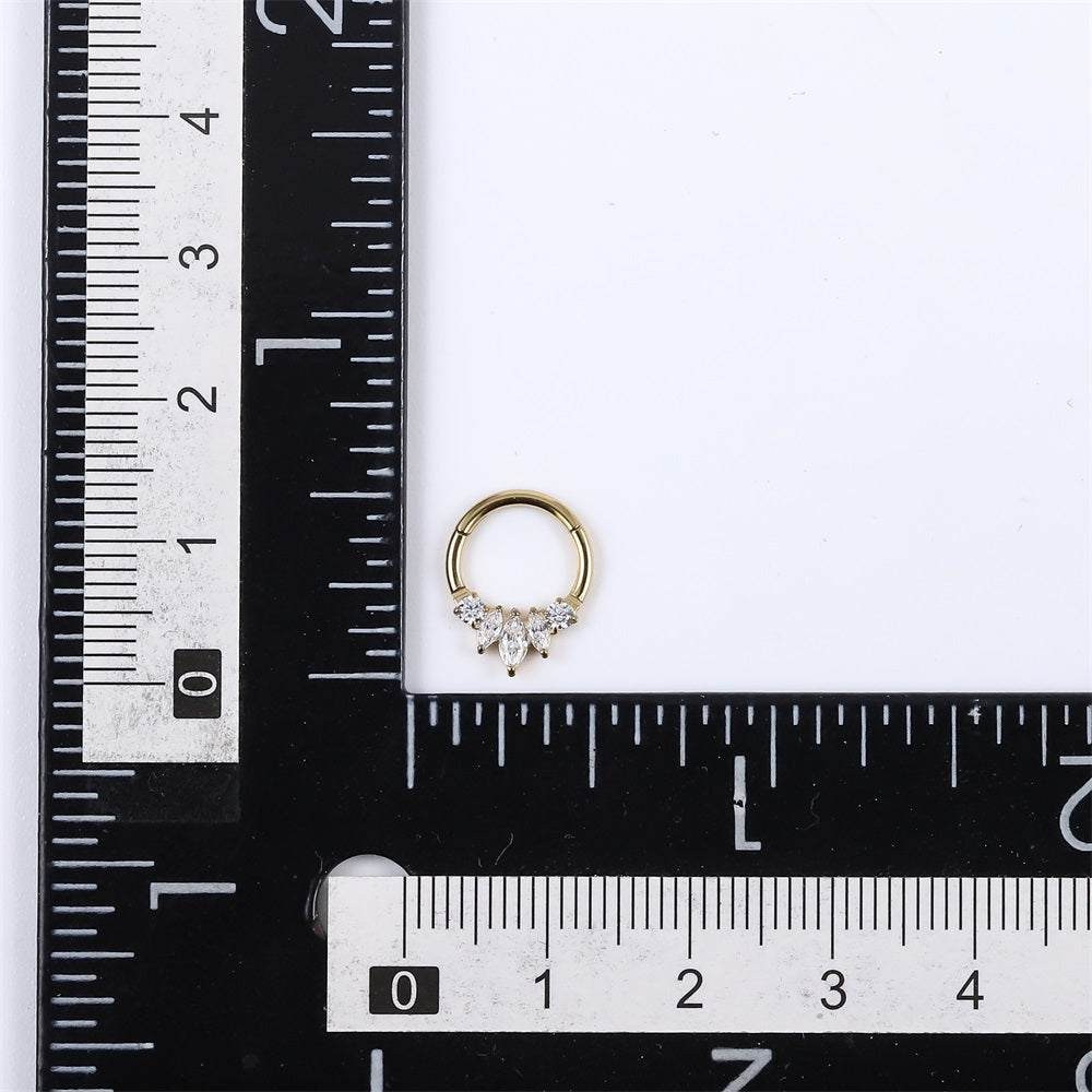 ADCM17 G-23 TITANIUM HINGED BCR WITH CZ