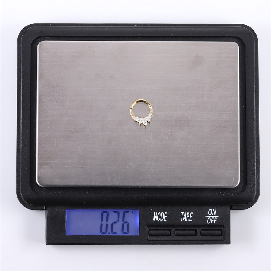 ADCM17 G-23 TITANIUM HINGED BCR WITH CZ