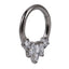 AAB Co G23 titanium hinged BCR with CZ crystal design in silver finish
