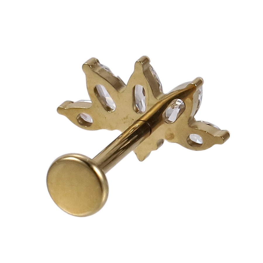 AAB Co G23 titanium internal thread labret with CZ cluster design in 14K gold finish
