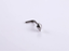 BBN29 STAINLESS STEEL L-SHAPE NOSE STUD WITH RHOMBUS DESIGN