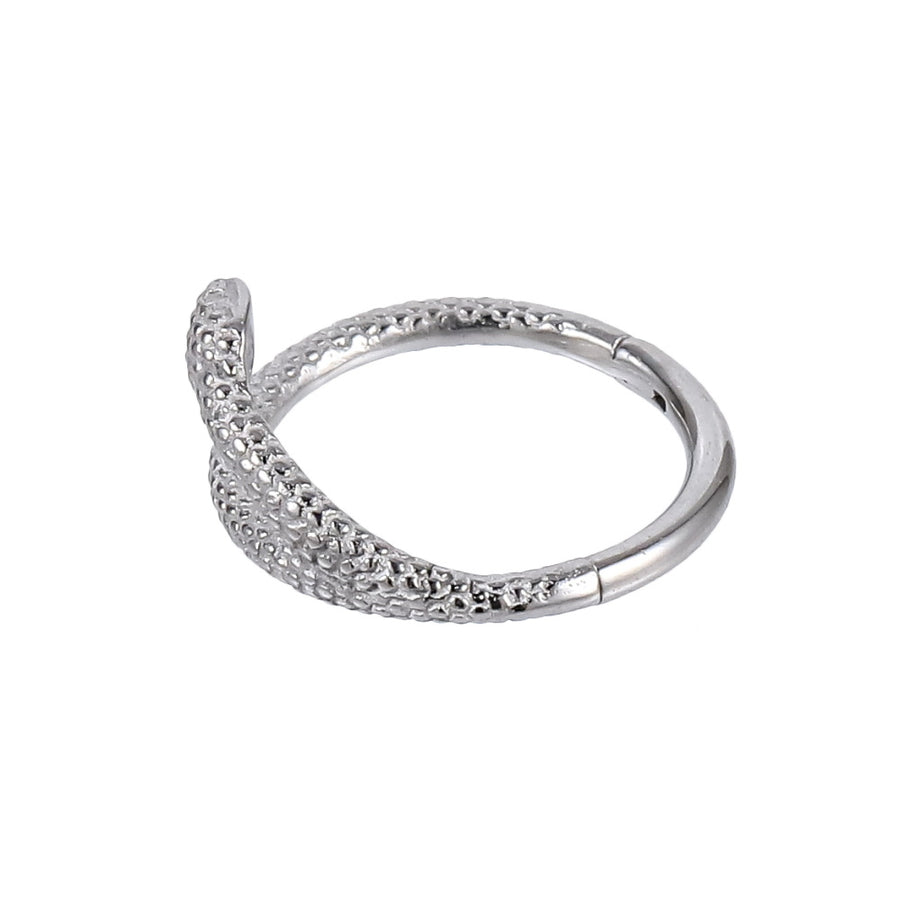AAB Co stainless steel hinged BCR with snake design
