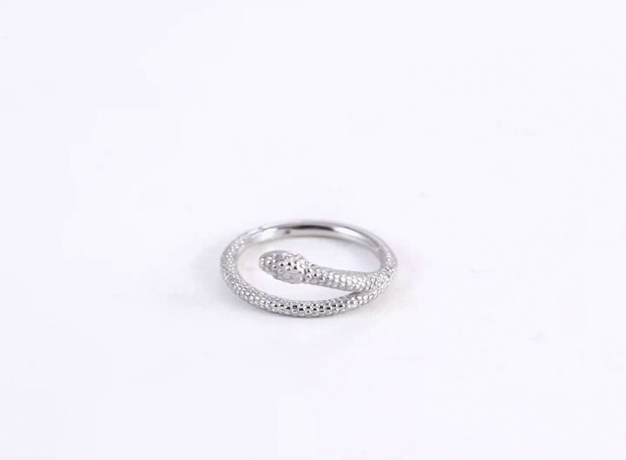 BCM59 STAINLESS STEEL HINGED BCR WITH SNAKE DESIGN