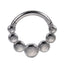 AAB Co stainless steel hinged BCR with ball cluster design
