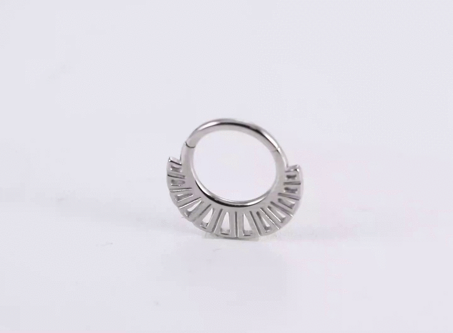 BCM65 STAINLESS STEEL HINGED BCR