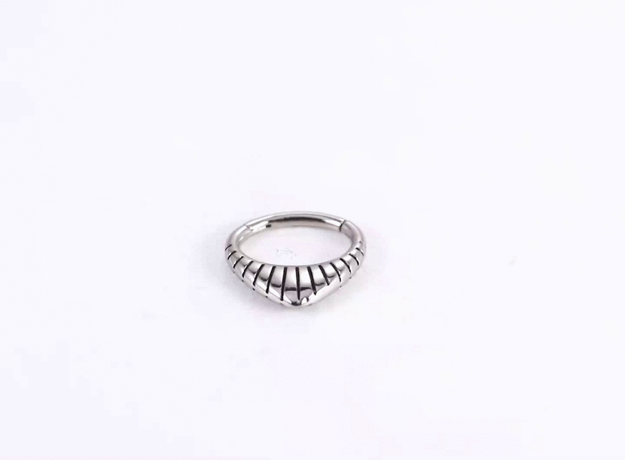 BCM71 STAINLESS STEEL HINGED BCR WITH LINE