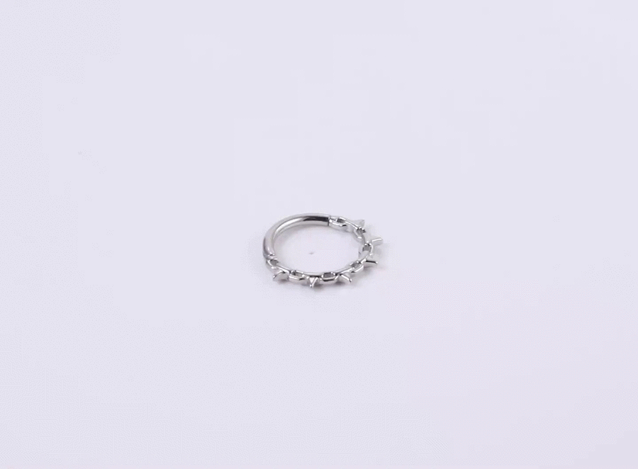 BCM73 STAINLESS STEEL HINGED BCR WITH THRONE