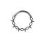 BCM73 STAINLESS STEEL HINGED BCR WITH THRONE