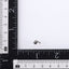 BLBJ31 STAINLESS STEEL INTERNAL THREAD LABRET WITH DOLPHIN DESIGN