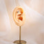 BLBJ35 STAINLESS STEEL INTERNAL THREAD LABRET WITH BUTTERFLY DESIGN