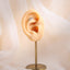 BLBJ39 STAINLESS STEEL INTERNAL THREAD LABRET WITH ROUND CZ