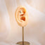 BLBJ43 STAINLESS STEEL INTERNAL THREAD LABRET WITH BONE DESIGN