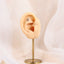 BLBJ46 G-23 TITANIUM INTERNAL THREAD LABRET WITH CAT DESIGN
