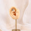 BLBJ50 G-23 TITANIUM INTERNAL THREAD LABRET WITH SHELL DESIGN