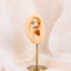 BLBJ51 G-23 TITANIUM INTERNAL THREAD LABRET WITH PALM DESIGN