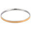 BSSG75 STAINLESS STEEL BANGLE EPOXY