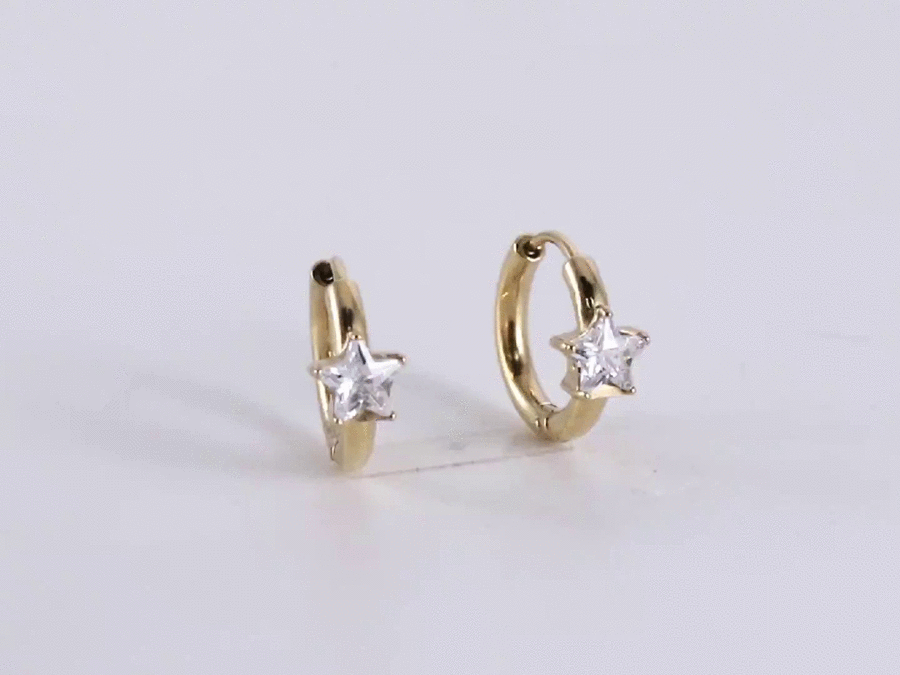 ESS760 STAINLESS STEEL HOOP EARRING WITH STAR CZ