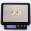 ESS793 STAINLESS STEEL EARRING WITH MOP FLOWER