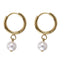 AAB Co stainless steel hoop earrings with round shell pearl and 14K gold finish