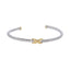 GBSG246 STAINLESS STEEL BANGLE