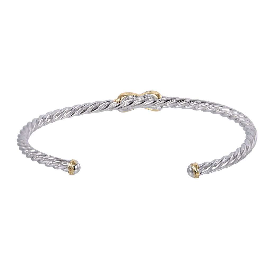 GBSG246 STAINLESS STEEL BANGLE