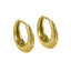 GESS589 STAINLESS STEEL EARRING