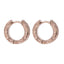 GESS683 STAINLESS STEEL EARRING