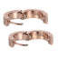 GESS683 STAINLESS STEEL EARRING