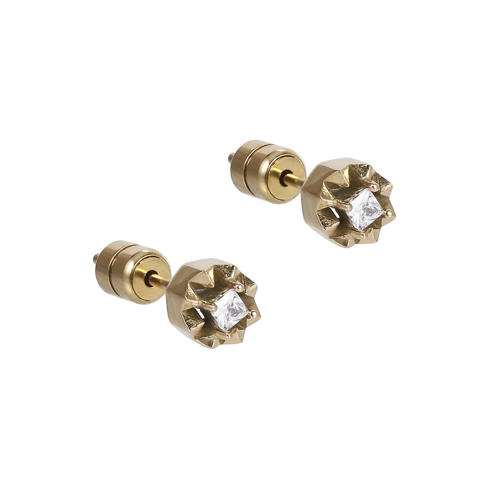 GESS684 STAINLESS STEEL EARRING