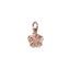 GHSS195 STAINLESS STEEL CHARM