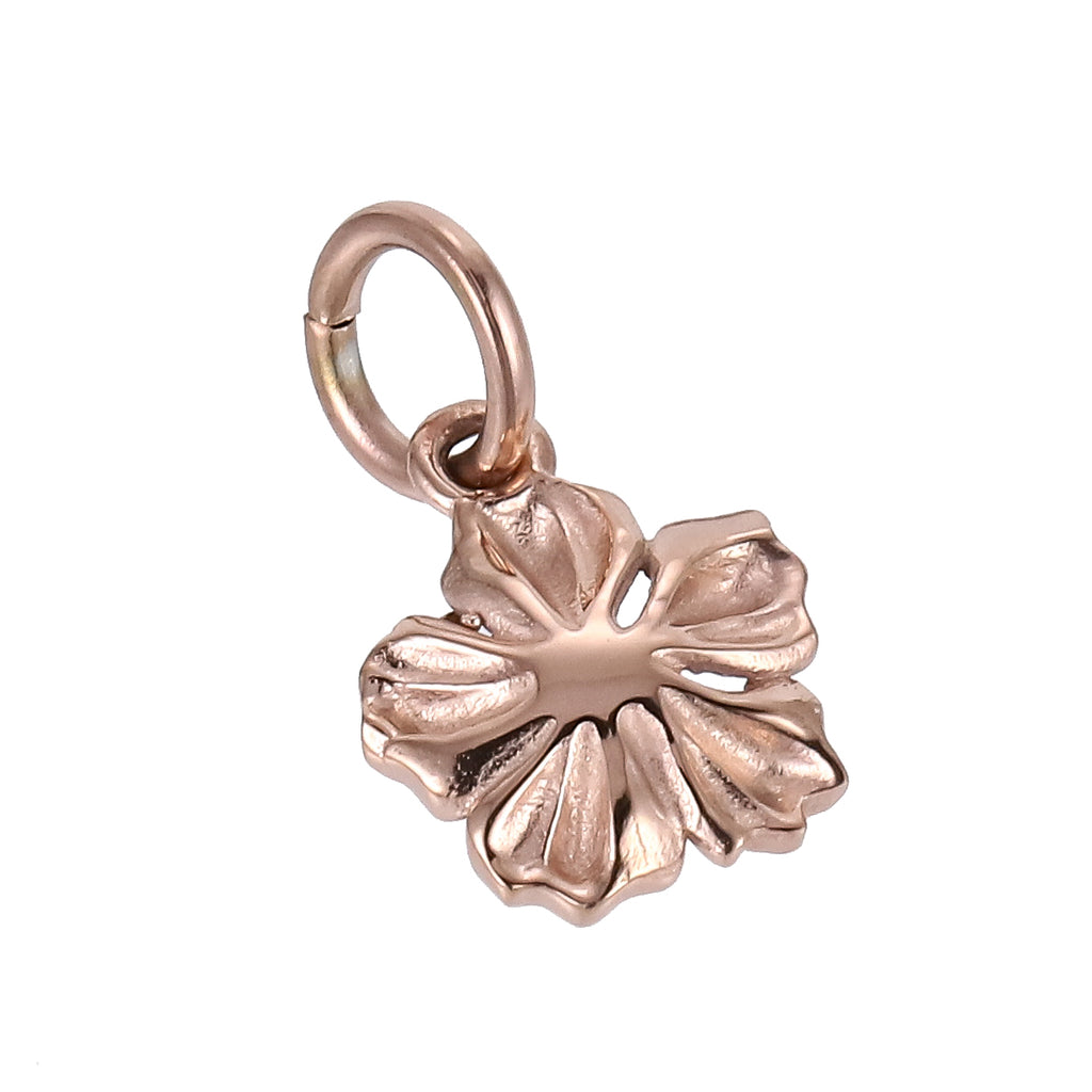 GHSS195 STAINLESS STEEL CHARM