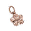 GHSS195 STAINLESS STEEL CHARM