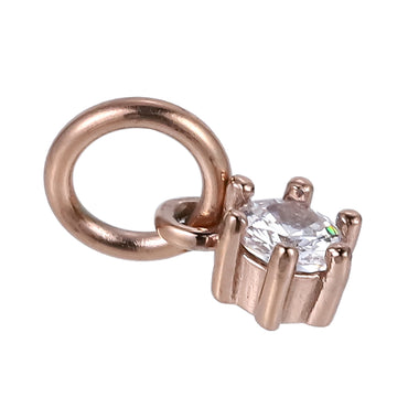 GHSS196 STAINLESS STEEL CHARM